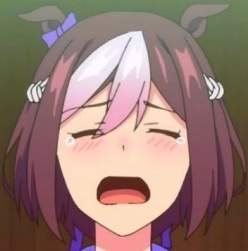 15576 B
