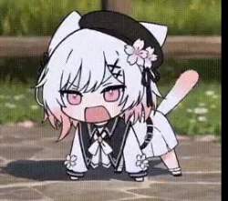 42065 B