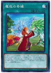 85666 B