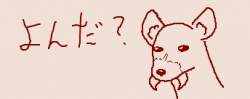 11305 B