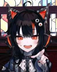 206583 B