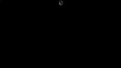 2439655 B