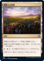 88126 B