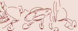16118 B