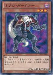 50902 B