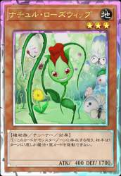 755576 B
