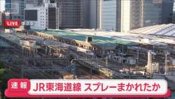 54204 B