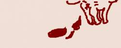 7925 B