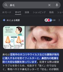 277968 B