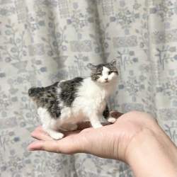172555 B