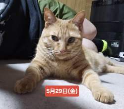 1244921 B