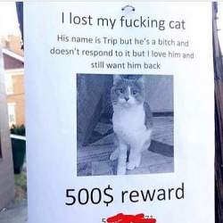96880 B
