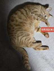 1041417 B