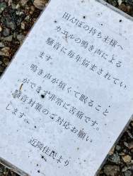 127867 B