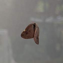 1258298 B