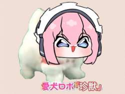 80777 B