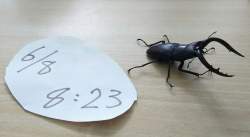 296343 B