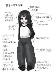 80407 B