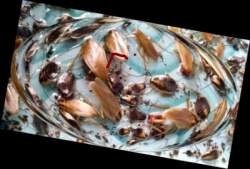 209080 B