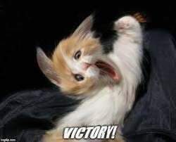 7194 B
