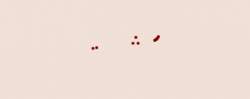2066 B