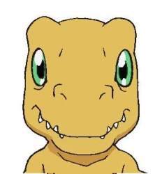 17337 B
