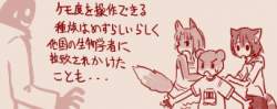 53572 B