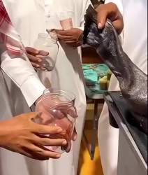 1449614 B