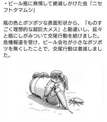 255227 B