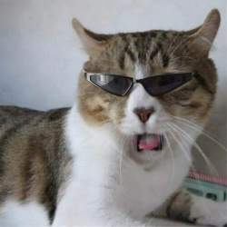 60716 B