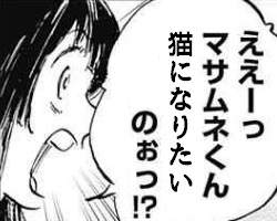 22438 B