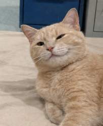 170388 B