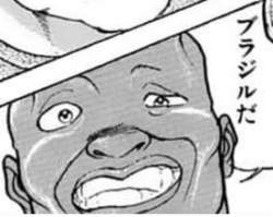 24446 B