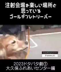 2874588 B