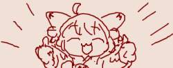 25497 B