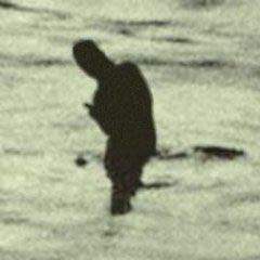 8734 B