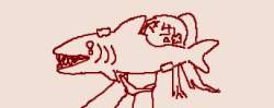 13713 B