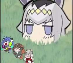 1734217 B