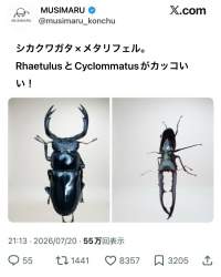 438746 B