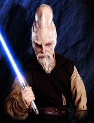 44294 B