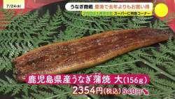 226353 B