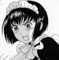 133004 B