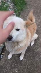 2425211 B