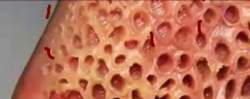 92808 B
