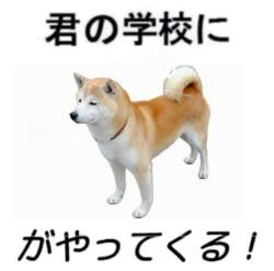 34774 B