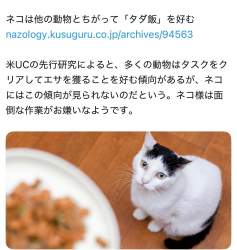 130559 B