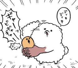 71144 B